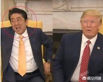 安倍会见美俄首脑时的表现，普通日本人是怎么看的？：美俄元首将会晤