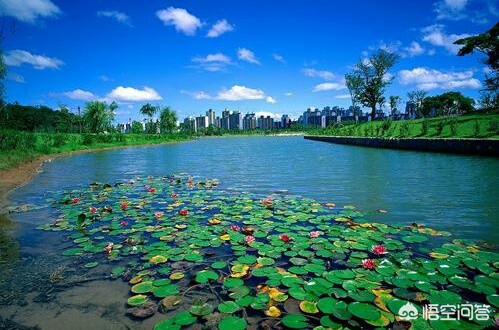 河南哪个地方潮湿厉害