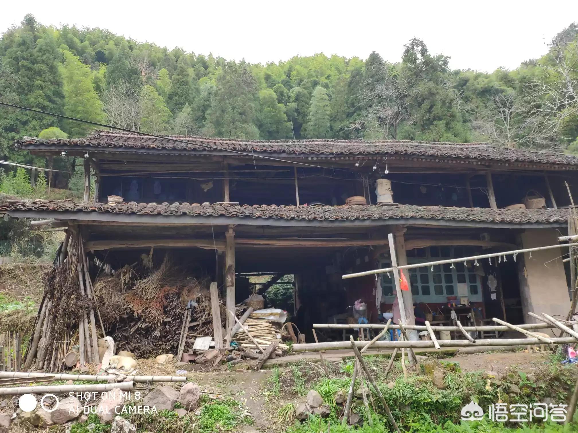 河南彩色微球怎么样