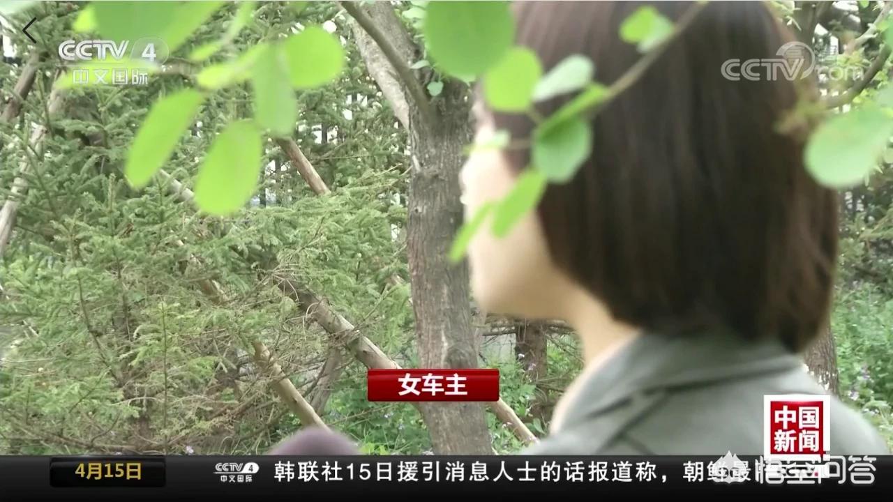 奔驰 新闻
