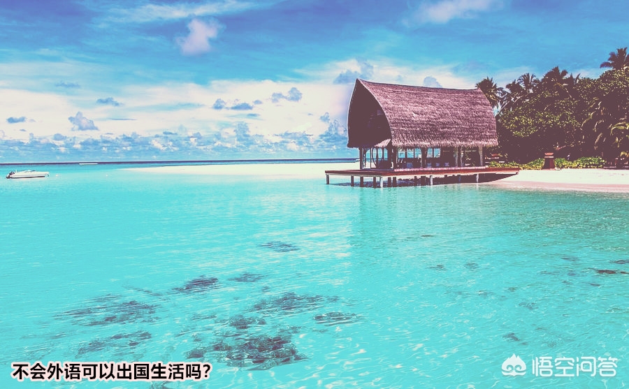 海外生活简单吗英文翻译，海外生活简单吗英文翻译怎么写