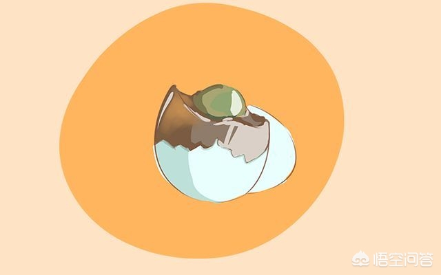 母乳期间不能吃什么？吃什么会影响奶水质量？：猫猫的叫声也有口音