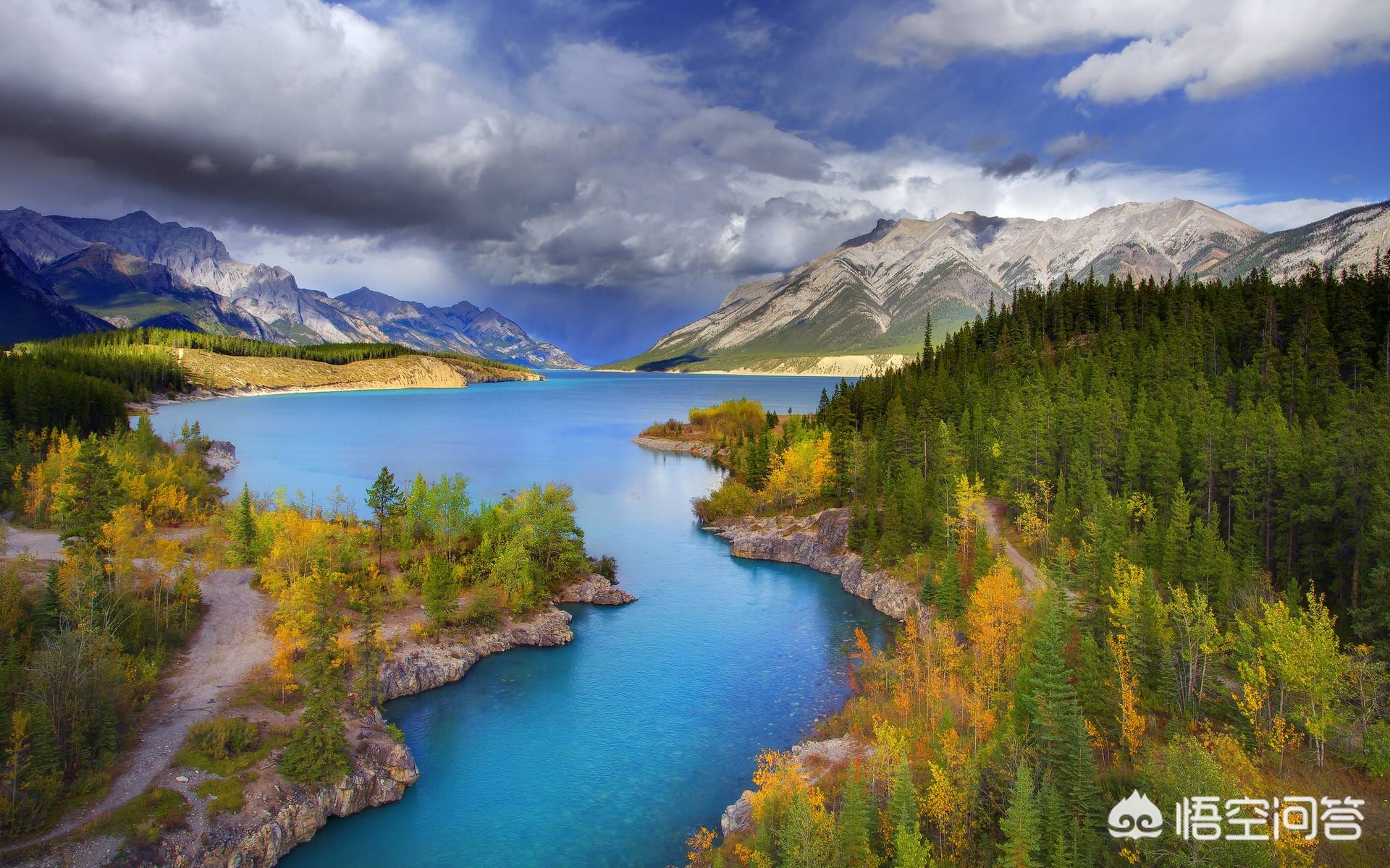 尼康d850(尼康d850深度评测?) 尼康d850(尼康d850深度评测?)