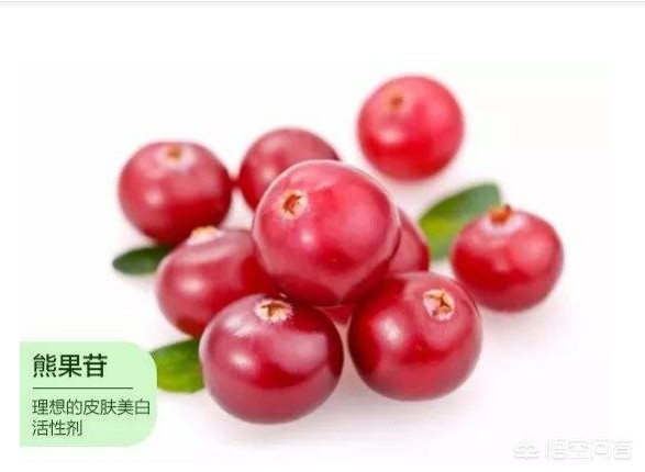 祛痘乳测评好物美妆
