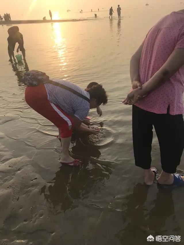 合肥市哪个地方有海