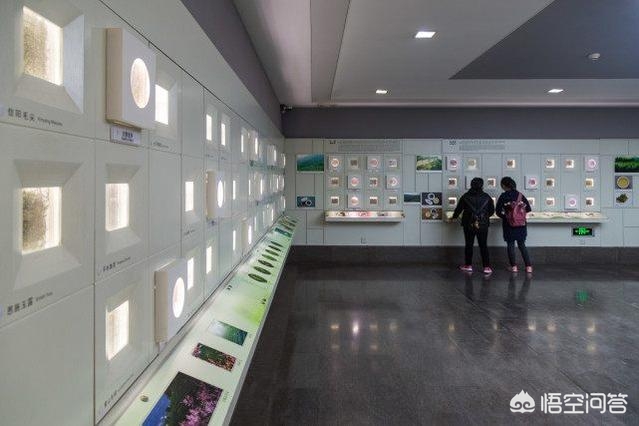 杭州博物馆属于哪个区？