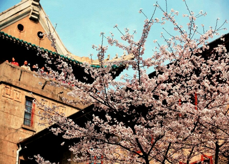 武汉市有什么学校好进的