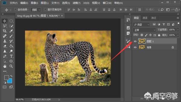 PS图（ps怎么把图片反过来？）