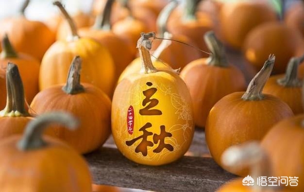 今天立秋下雨有啥说法？：今日立秋要做这些事