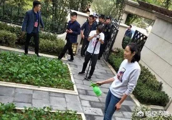 朱婷在河南哪个县任职