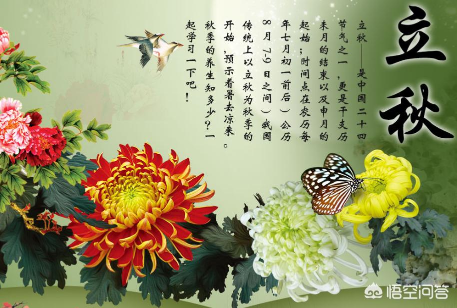 今日立秋，养生谨记一个字！吃一菜，喝二茶，按三穴，身体更健康！具体指什么？：今日立秋要做这些事