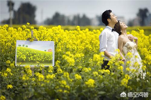 婚纱摄影道具，婚纱摄影道具影楼用品