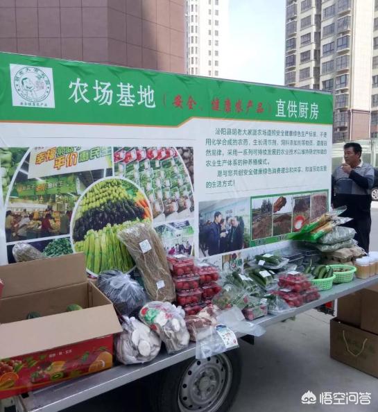 蔬菜配送app开发费