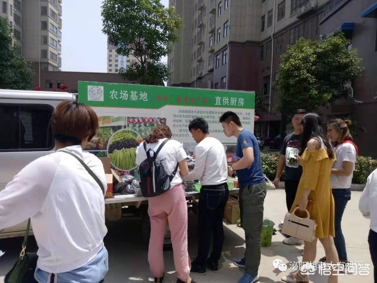 蔬菜配送app开发费