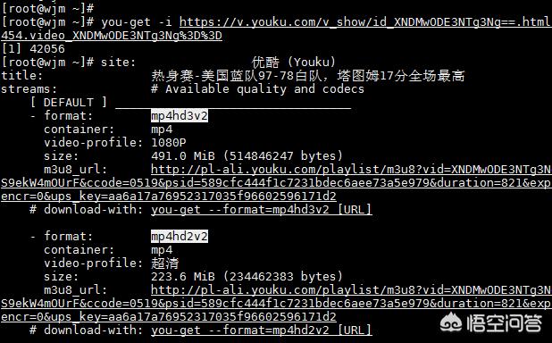 油管视频下载油管视频下载网站