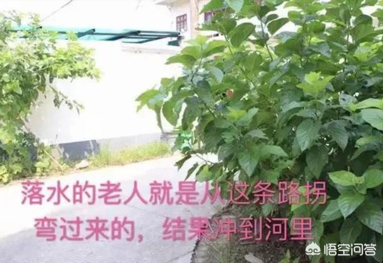 [护士300秒极限救人]护士在外面救人合法吗？