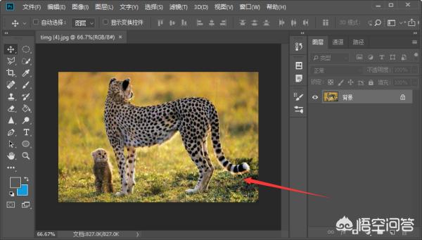 PS图（ps怎么把图片反过来？）