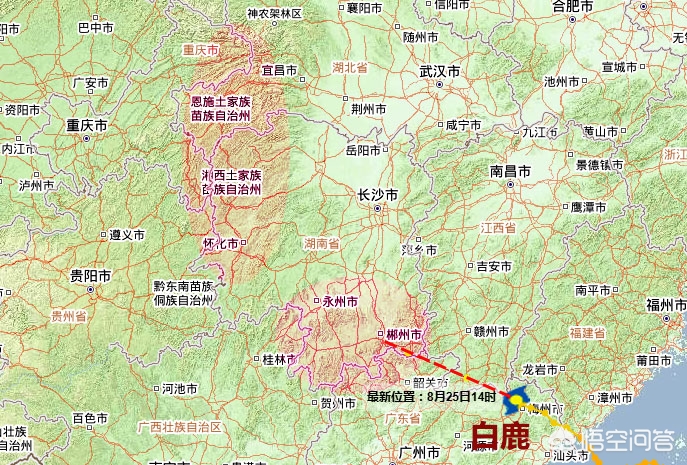 第11号台风“白鹿”生成，或登录广东，佛山会凉爽吗？：台风白鹿已生成
