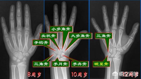 记录分享海外生活，记录分享海外生活的软件