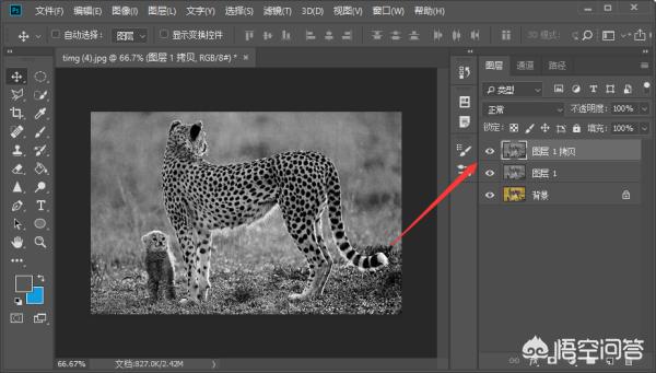 PS图(ps怎么把图片反过来?) PS图(ps怎么把图片反过来?)