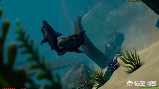 vivoy97这个手机质量怎么样?拍照怎么样?玩游戏卡不卡？