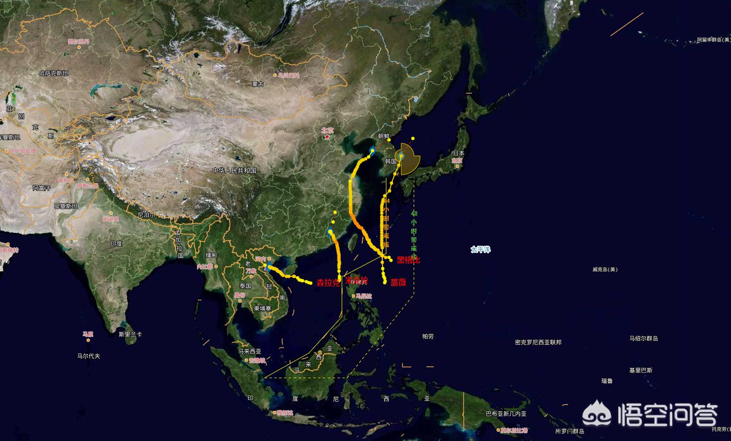 三台风胚胎来了