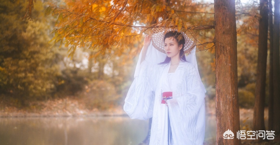 西凤酒国花瓷12年与华山论剑10年哪个更好? 西凤酒国花瓷12年与华山论剑10年哪个更好?