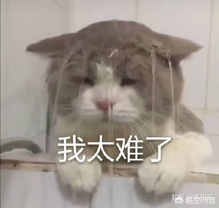 假素颜化妆技巧
