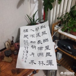学书法要先学小篆字体