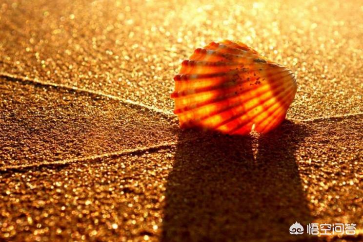 小升初的天桃中学分班考试是三卷合一的，英语会占多少？会有什么题型？