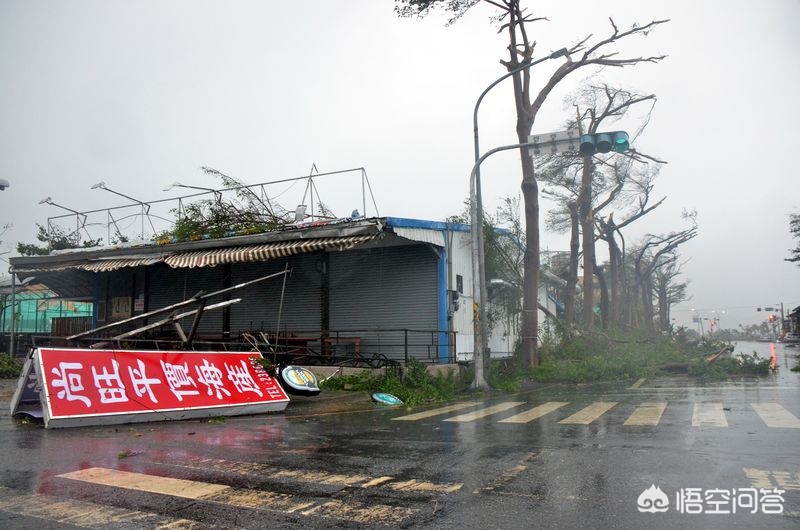 台风过后潜在风险（台风来了，住高层感觉楼体有晃动，有危险吗？）