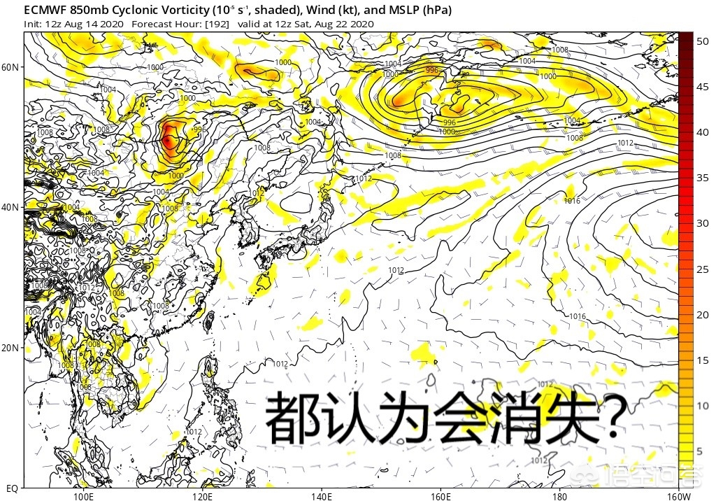 三台风胚胎来了
