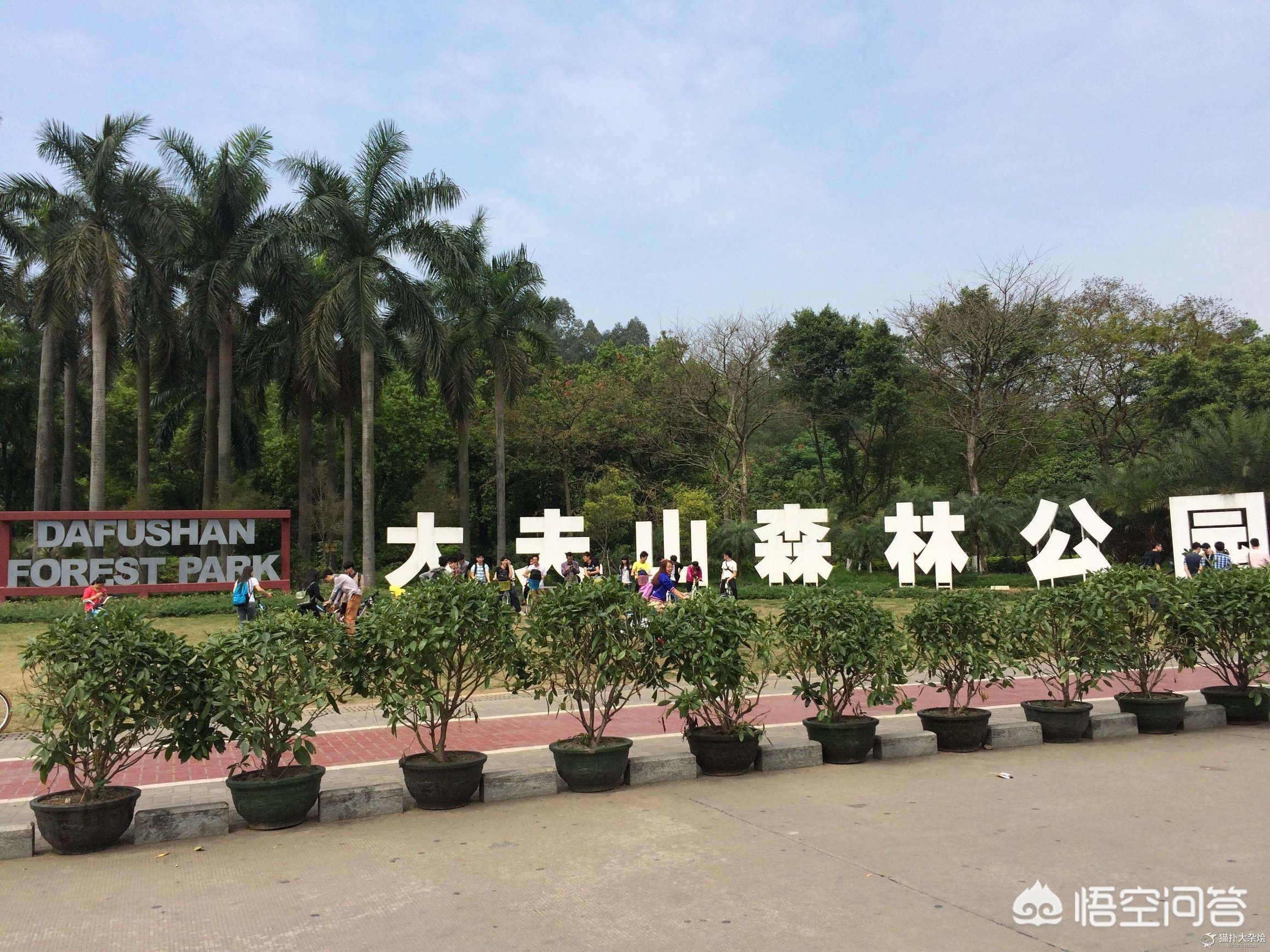 广州市有什么自然风景区 广州市有什么自然风景区