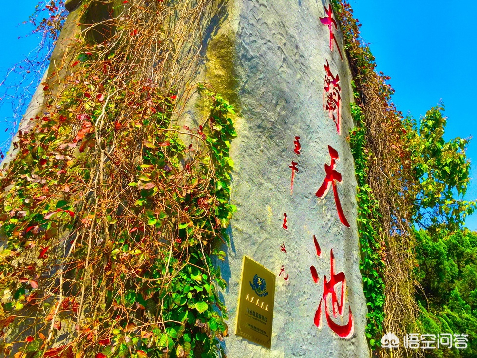武汉市什么地方看红叶