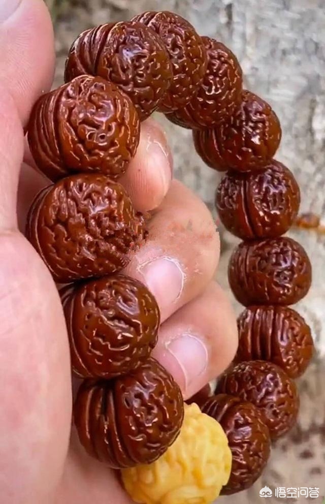 桃核批发市场哪里最好？