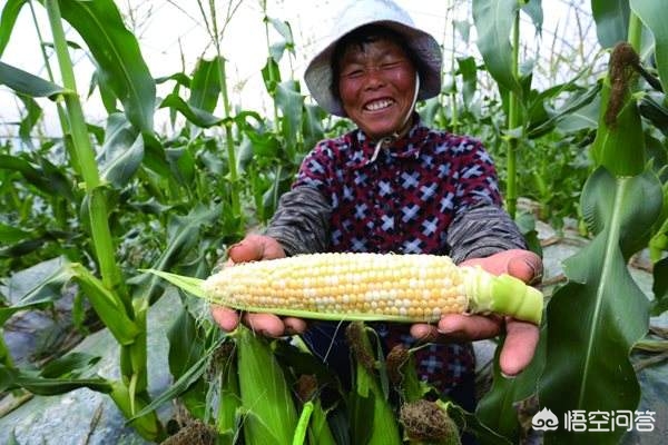 现在农村，有一些网红农产品引来大咖网红等扎堆进行电商销售，对此你有什么看法？：海外网红扎堆中国行