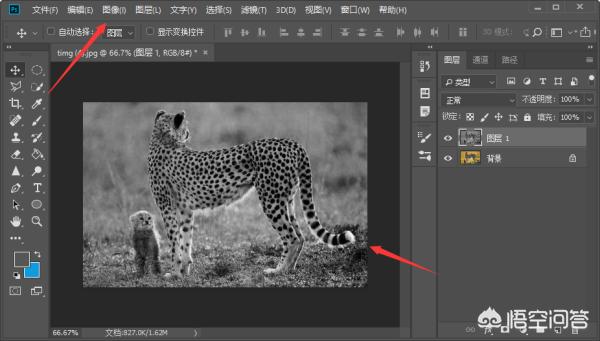 PS图(ps怎么把图片反过来?) PS图(ps怎么把图片反过来?)