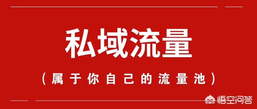 私域流量怎么搭建网站