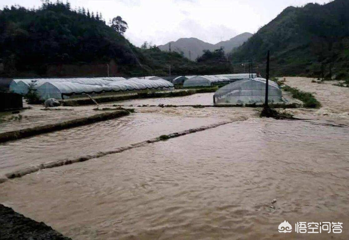 广东特大暴雨将来袭