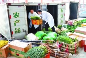 蔬菜配送app开发费