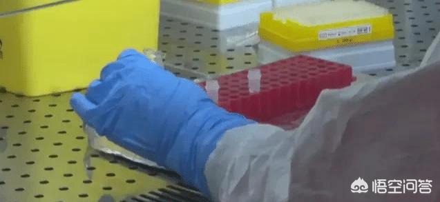 《大话西游2》中，神兽白泽自带哪个技能？