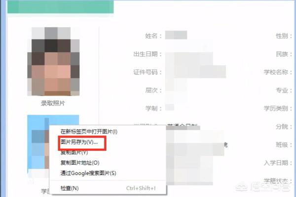 学历证明学信网截图(学历证明学信网截图可以吗)
