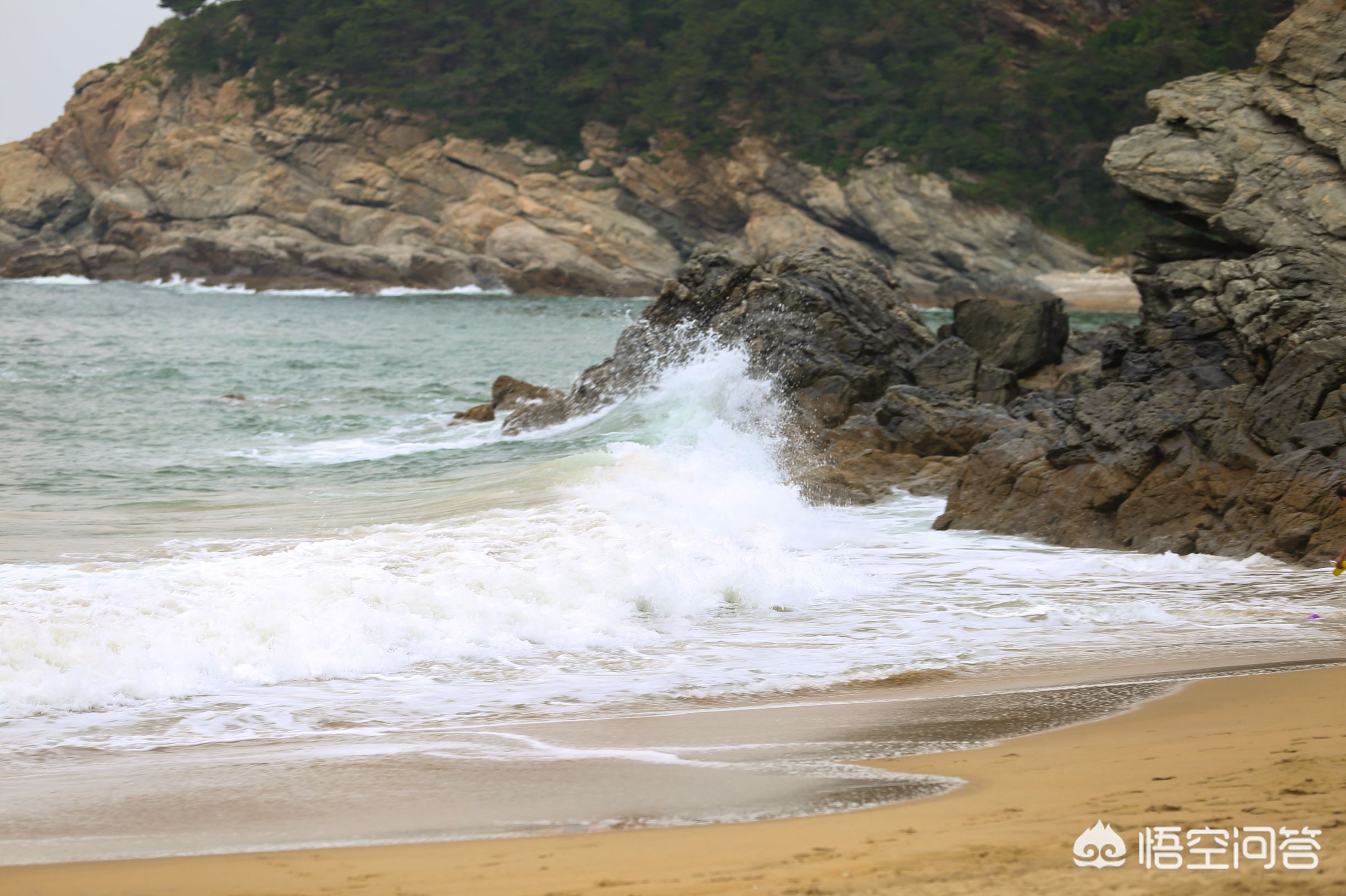大连市哪个岛最好