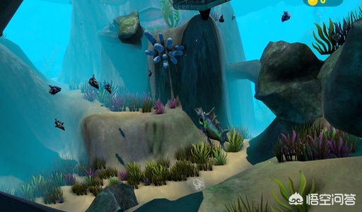 vivoy97这个手机质量怎么样?拍照怎么样?玩游戏卡不卡？