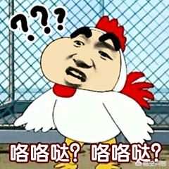 奔驰车模