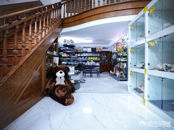 厦门哪里有正规猫舍或者宠物店? 厦门哪里有正规猫舍或者宠物店?