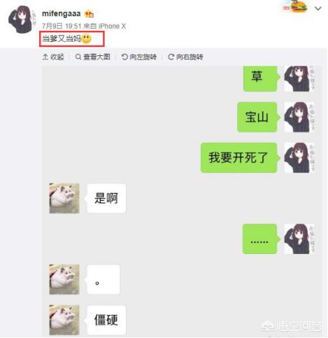 4AM老板娘蜜蜂放出韦神购房合同，蜜蜂：这房子已成学区房，如何看待贤内助蜜蜂仔？