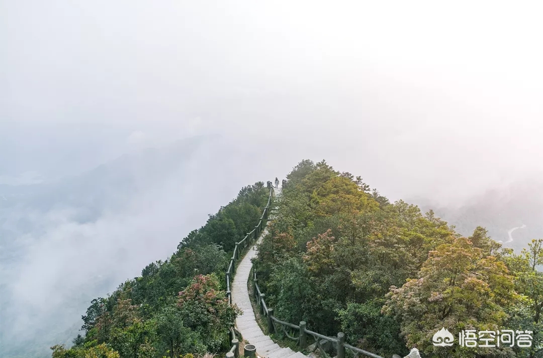 深圳最有名的什么山？