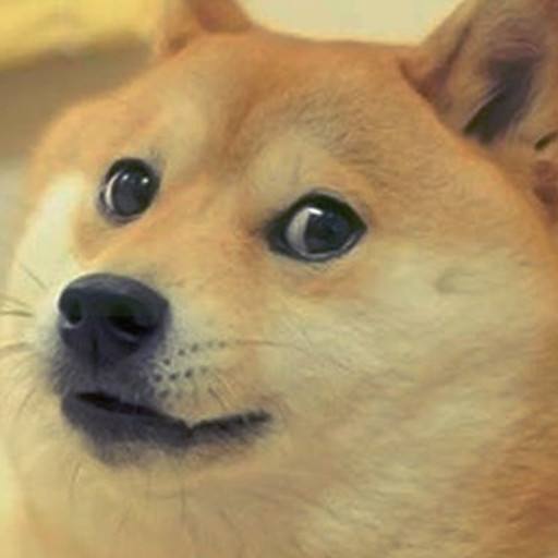 记帐网站制作app手机版,有什么适合小公司、小团队的手机记账财务软件?