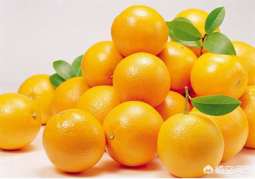 赣州全网网络营销公司,赣南脐橙的销售渠道?